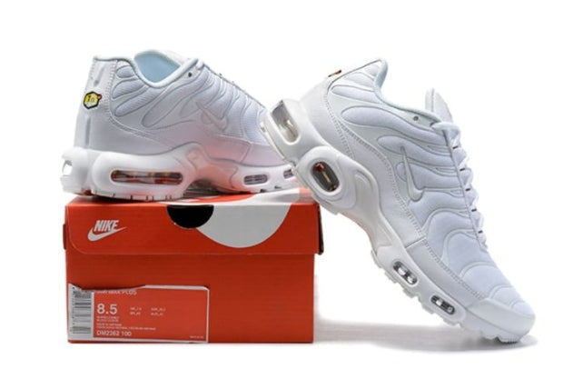 Nike Air Max Plus